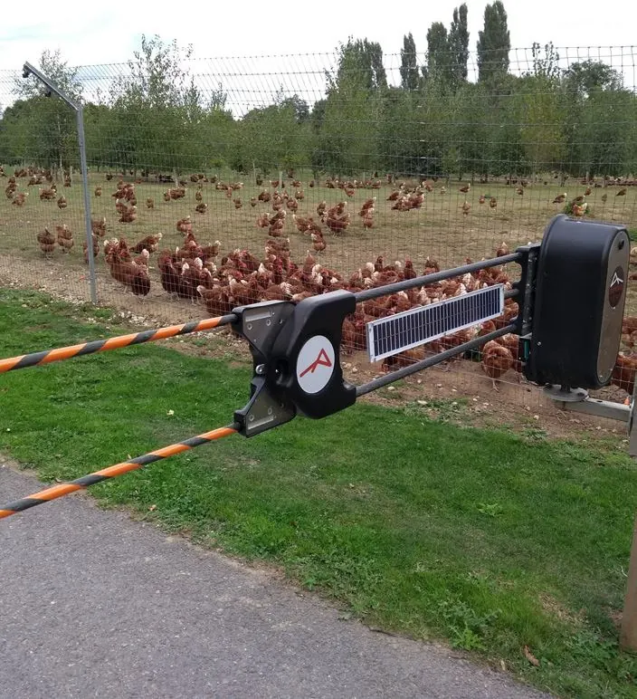 Solar powered barrier controlling the track beside a free-range poultry flock